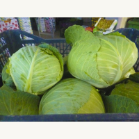 &Sigma;&alpha;&lambda;ά&tau;&epsilon;&sigmaf;